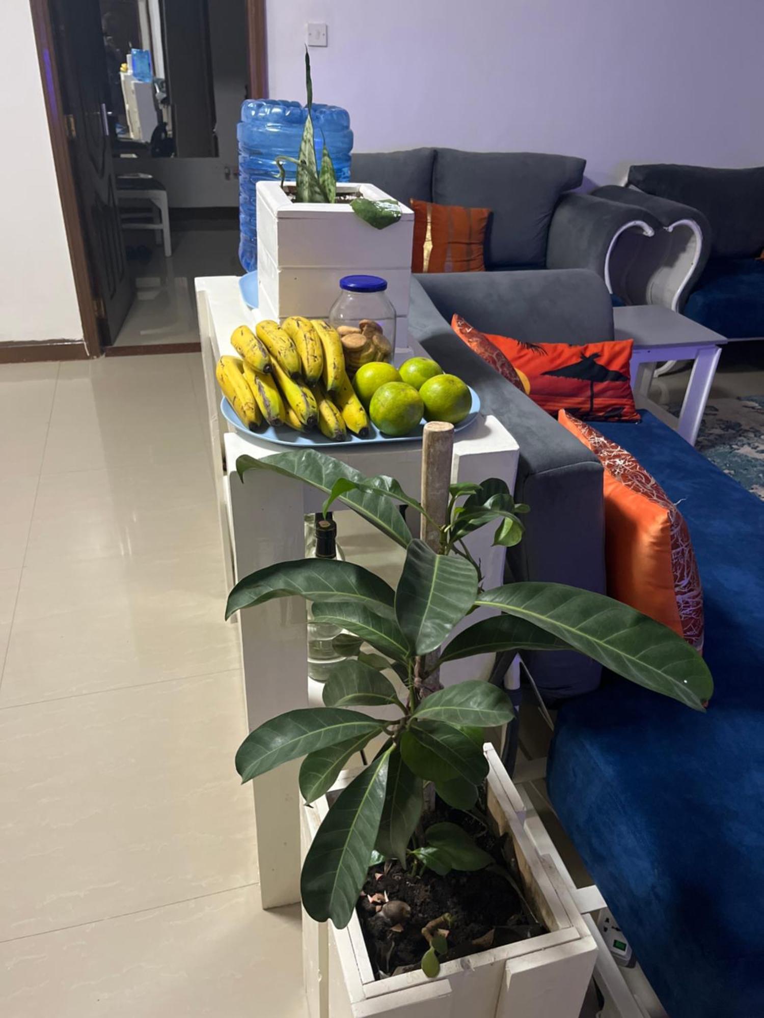 The Coffee Residences- 3 Bedroom Apartments-4Km To Jkia, 7Km To Cbd Nairobi Buitenkant foto